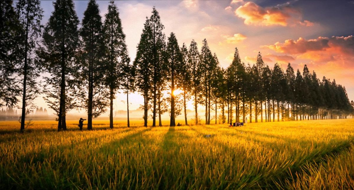 常寧“漁羅公路”解鎖農旅融合的“共富樣本”