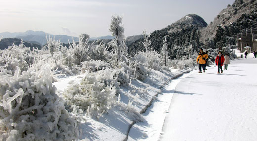 中國衡陽新聞網(wǎng) www.zy-kjw.com