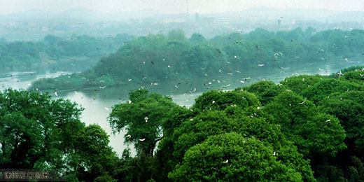 中國衡陽新聞網 www.zy-kjw.com