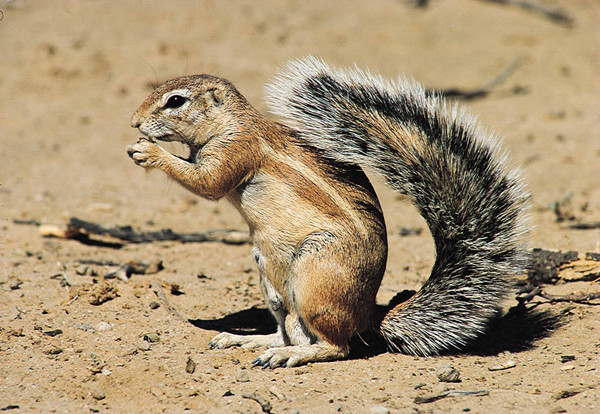 中國衡陽新聞網 www.zy-kjw.com